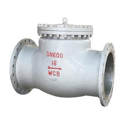 check valve for fire protection