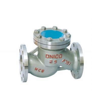 check flap valve